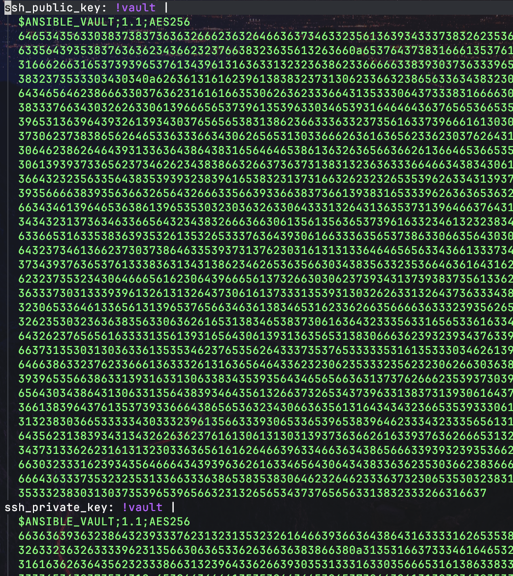 Part of an encrypted ssh key image